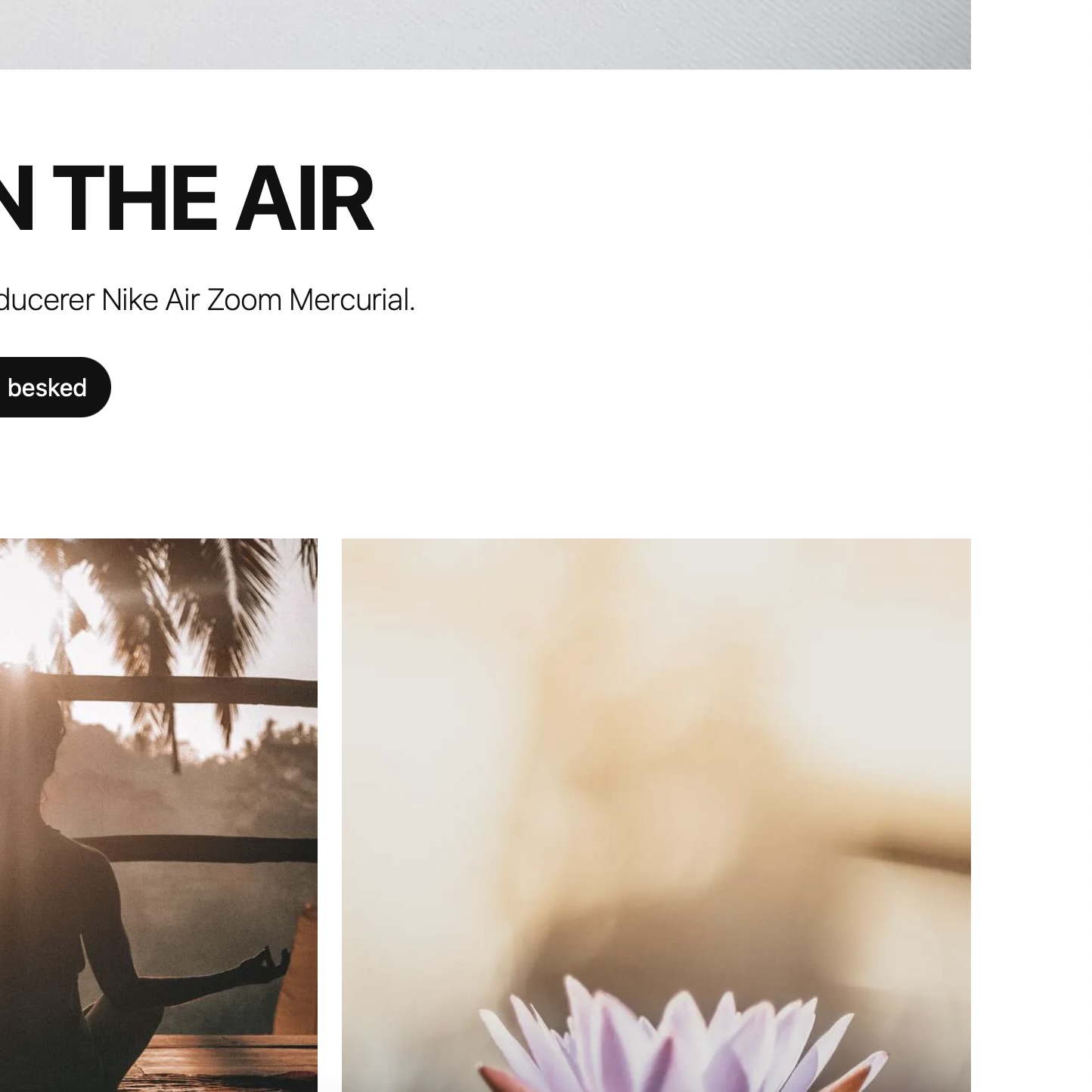 website PernilleHunt