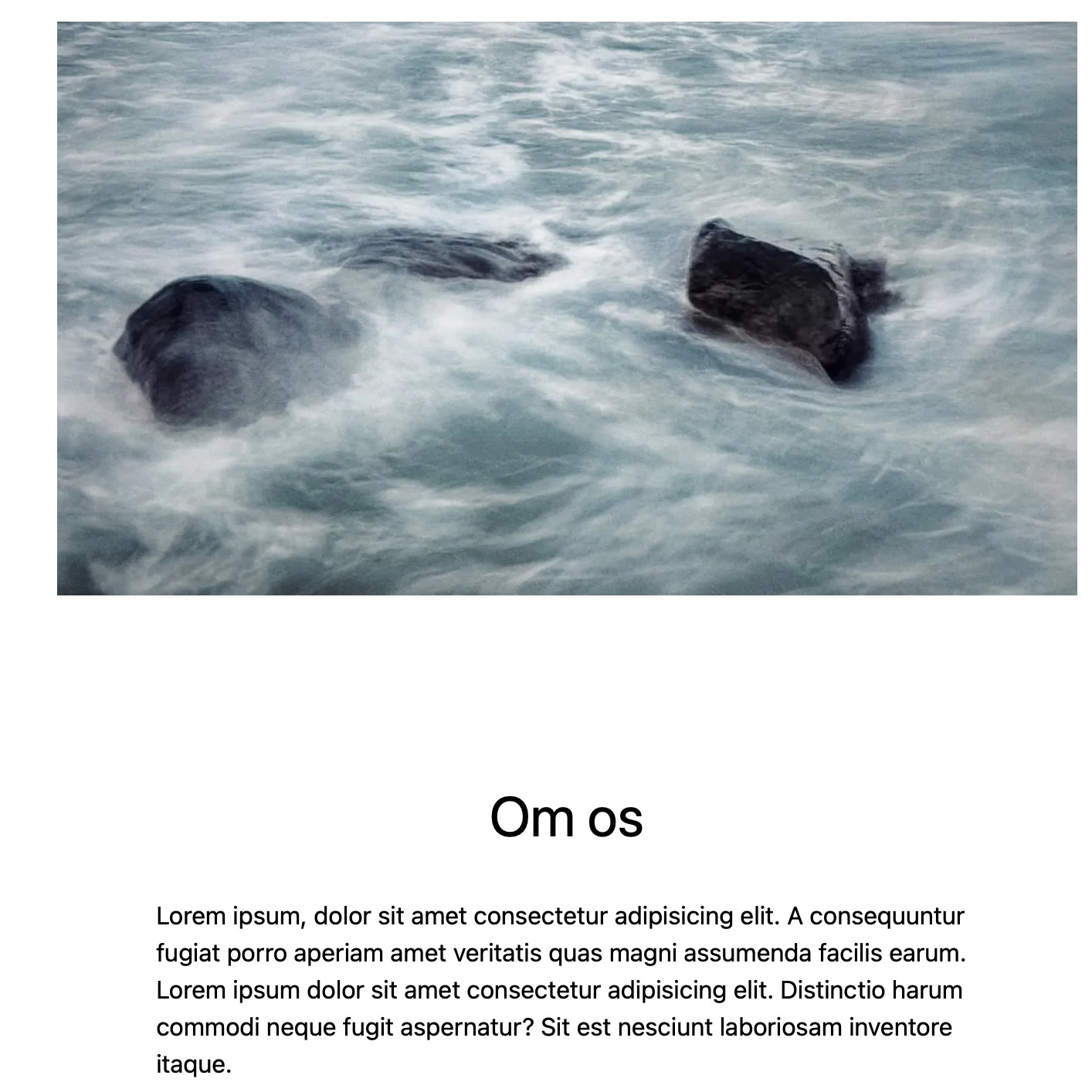 website Smidstrupvinterbadere